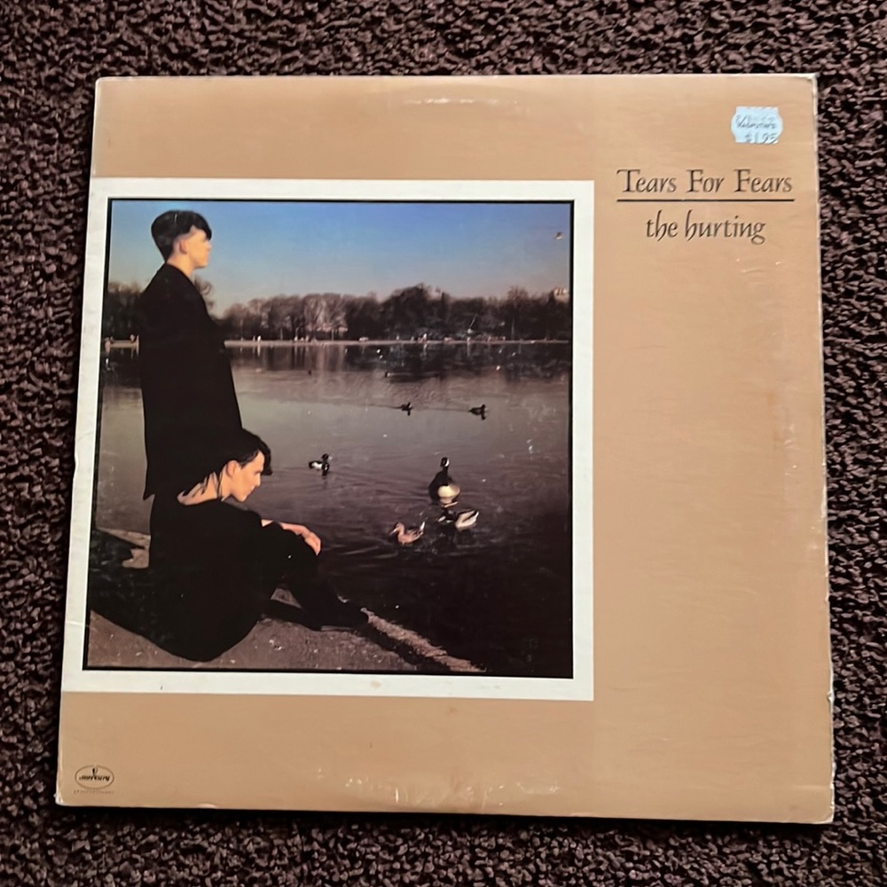 Record vinyl